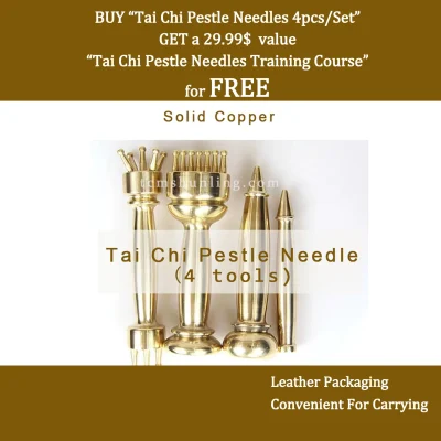 Tai Chi Pestle Needles 4pcs/Set