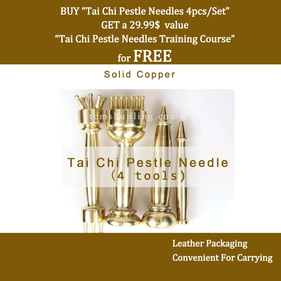 Tai Chi Pestle Needles 4pcs/Set