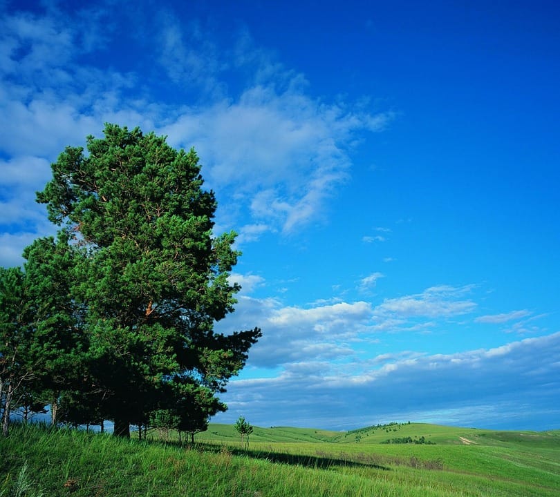 TCM,relax,WELLNESS,Acupressure,tuina,Massage,Stress ,