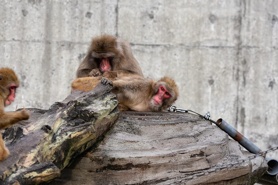 TCM，relax，WELLNESS,Acupressure，tuina,Massage,Stress ，