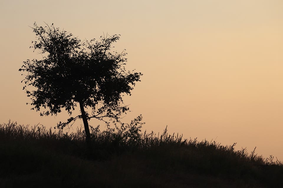 TCM，relax，WELLNESS,Acupressure，tuina,Massage,Stress ，